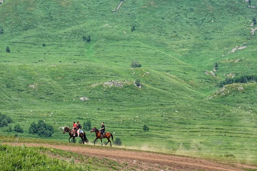 鹏都农牧（002505）股民索赔再获法院立案，新智认知（603869）索赔案已有胜诉