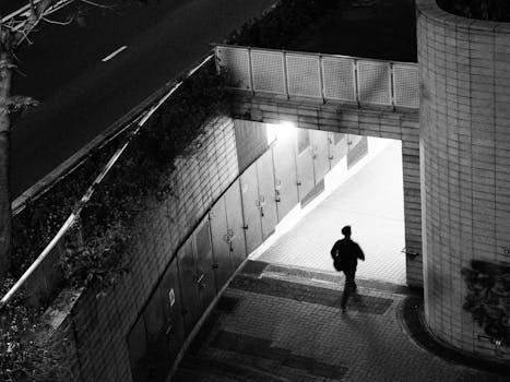 长城基金曲少杰：2026年港股科技主线聚焦AI全产业链 新闻