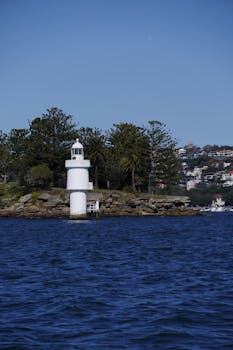 有奖发票试点落地 “小激励”转为“大活力” 新闻