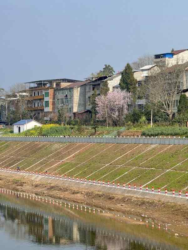  大家族里过年，一位年轻人的“两宗罪”｜记者过年_0227222816 新闻