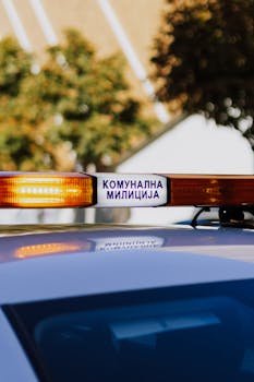  零跑汽车盈利里程碑达成，销量营收双双高增；自研技术赋能未来增长。 汽车科技