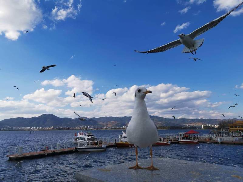  空间重构与价值重塑：高校住宿资源的内生性演变 教育招生