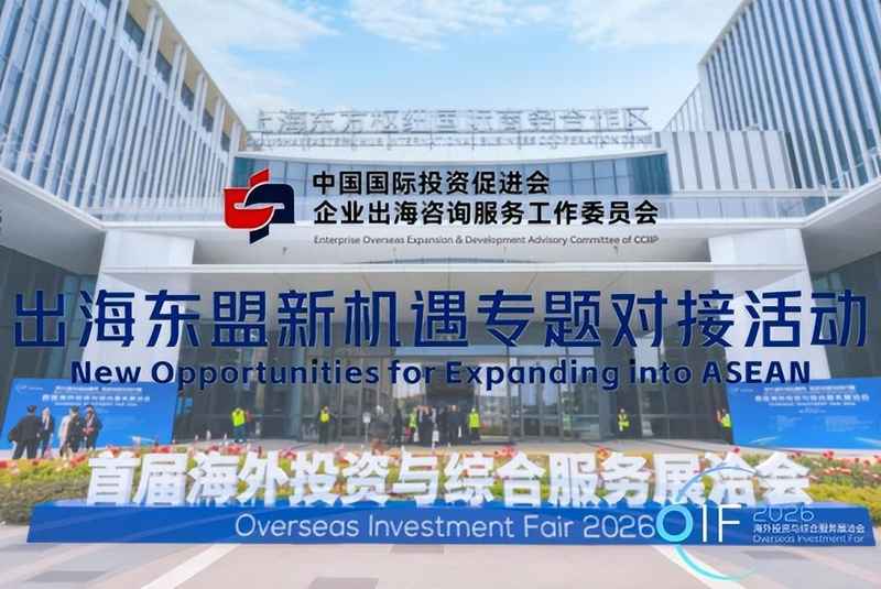  中企深耕东盟市场：产业链协同与数字经济融合实战指南 新闻