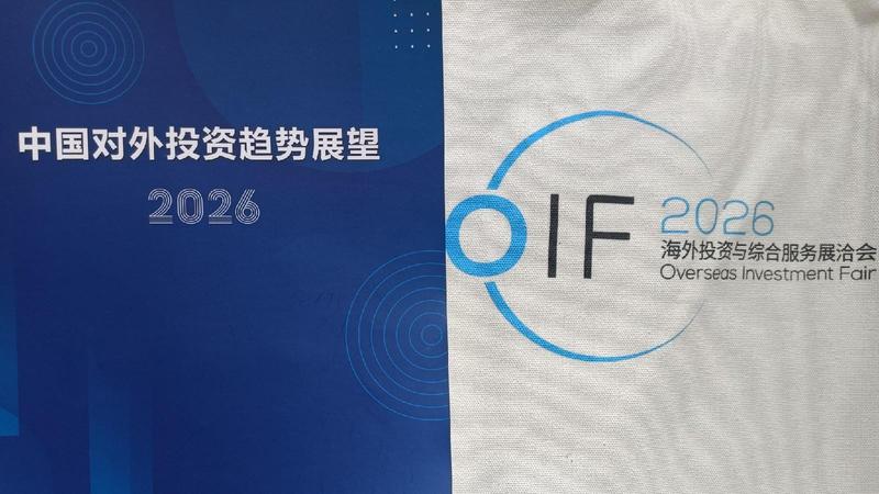  中企深耕东盟市场：产业链协同与数字经济融合实战指南 新闻