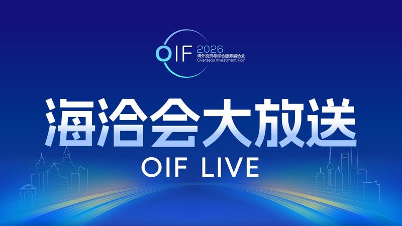  中企深耕东盟市场：产业链协同与数字经济融合实战指南 新闻