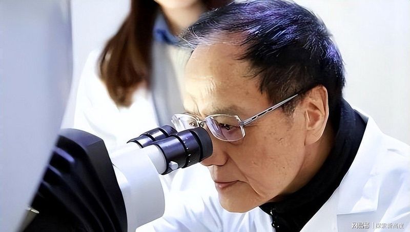  火炸药理论的工程突破：模块装药技术如何重塑现代火炮性能 新闻