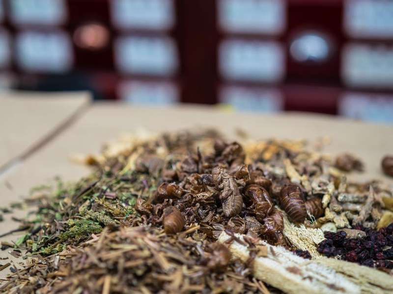  速效救心丸研发解密：川芎冰片配伍的四大临床拓展应用 健康养生