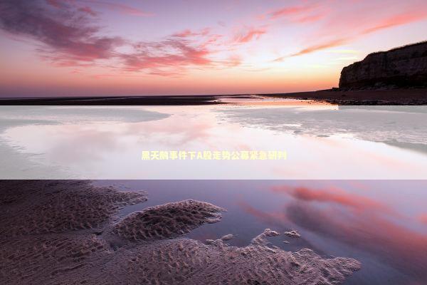 黑天鹅事件下A股走势公募紧急研判 新闻