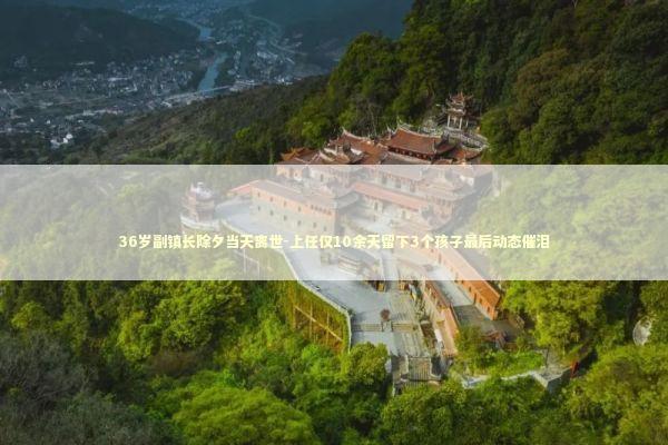 36岁副镇长除夕当天离世-上任仅10余天留下3个孩子最后动态催泪 36岁副镇长除夕当天离世-上任仅10余天留下3个孩子最后动态催泪 新闻