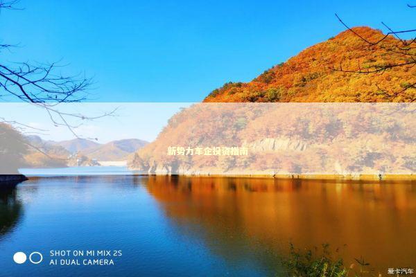 新势力车企投资指南