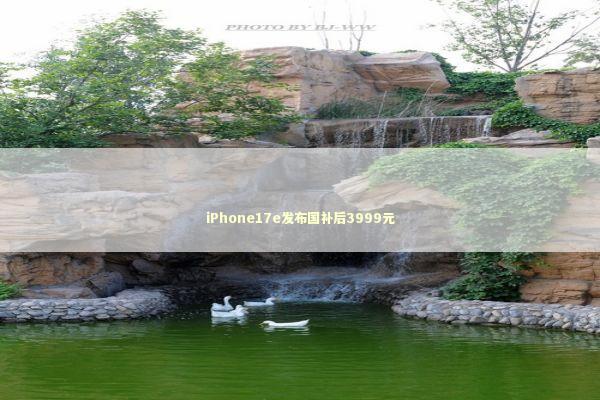 iPhone17e发布国补后3999元