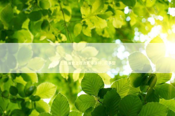 三桶油史上首次集体涨停_叙事型