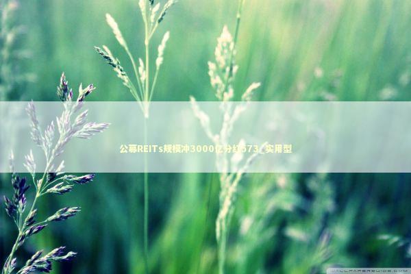 公募REITs规模冲3000亿分红573_实用型 新闻