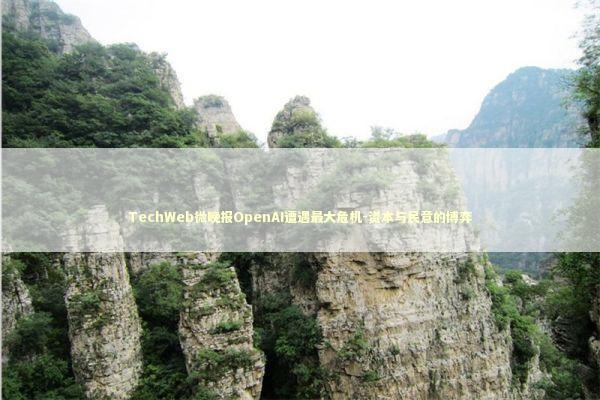 TechWeb微晚报OpenAI遭遇最大危机-资本与民意的博弈 新闻