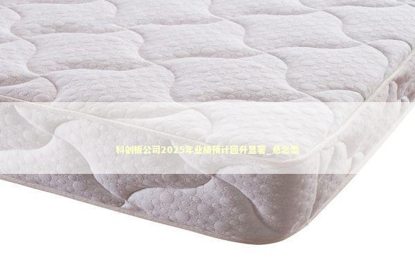 科创板公司2025年业绩预计回升显著_悬念型 科创板公司2025年业绩预计回升显著_悬念型 新闻