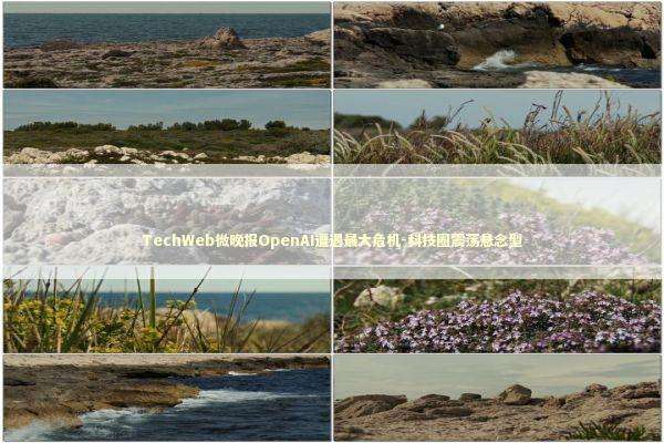TechWeb微晚报OpenAI遭遇最大危机-科技圈震荡悬念型 TechWeb微晚报OpenAI遭遇最大危机-科技圈震荡悬念型 新闻