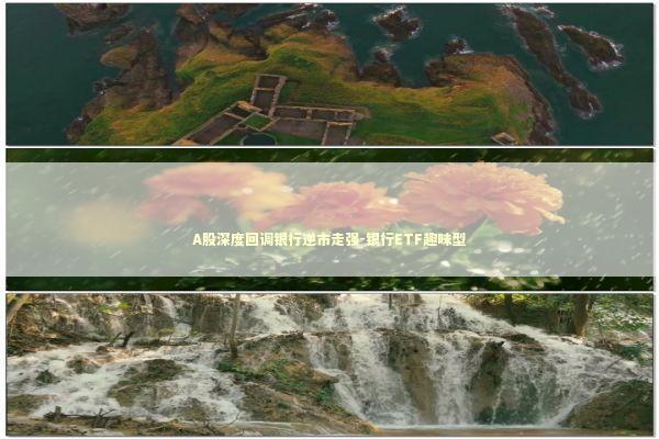 A股深度回调银行逆市走强-银行ETF趣味型 A股深度回调银行逆市走强-银行ETF趣味型 新闻
