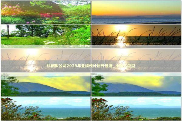 科创板公司2025年业绩预计回升显著_小题大做型