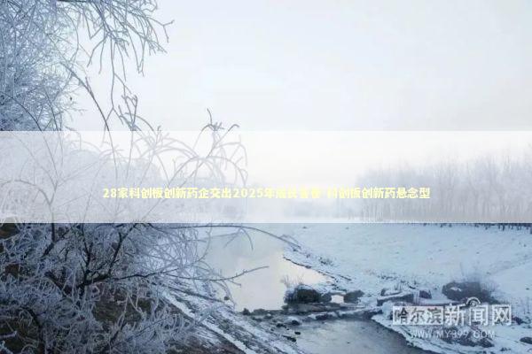 28家科创板创新药企交出2025年成长答卷-科创板创新药悬念型 28家科创板创新药企交出2025年成长答卷-科创板创新药悬念型 新闻