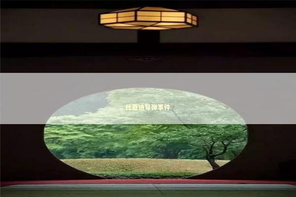 比亚迪导弹事件