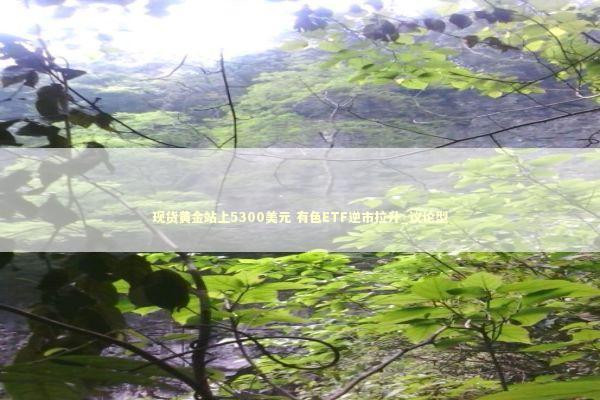 现货黄金站上5300美元 有色ETF逆市拉升_议论型