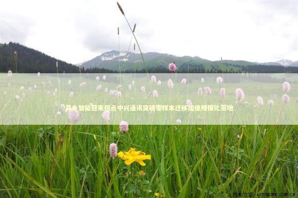 具身智能迎来拐点中兴通讯突破零样本迁移加速规模化落地 新闻