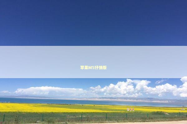 苹果M5抒情版