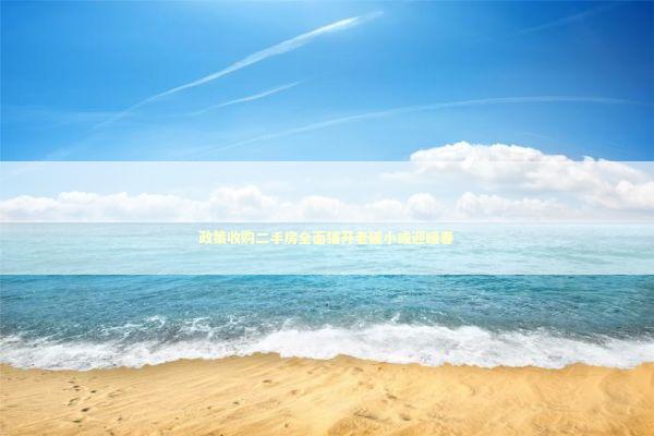 政策收购二手房全面铺开老破小或迎暖春 新闻
