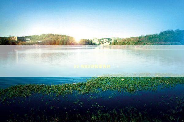 02-WBD派拉蒙合并