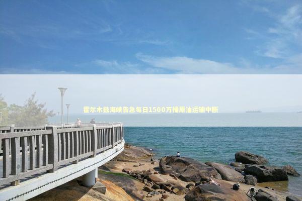 霍尔木兹海峡告急每日1500万桶原油运输中断 霍尔木兹海峡告急每日1500万桶原油运输中断 新闻