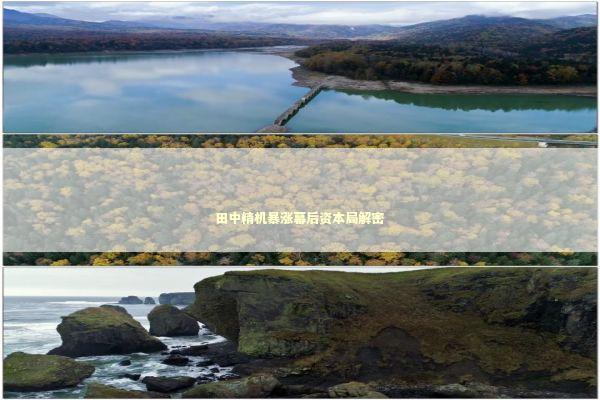 田中精机暴涨幕后资本局解密 新闻