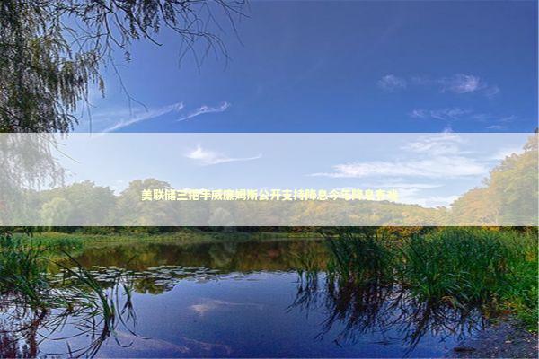 美联储三把手威廉姆斯公开支持降息今年降息有戏 新闻