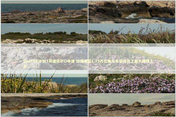 SpaceX计划3月递交IPO申请 估值或超1.75万亿美元有望成史上最大规模上市 SpaceX计划3月递交IPO申请 估值或超1.75万亿美元有望成史上最大规模上市 新闻