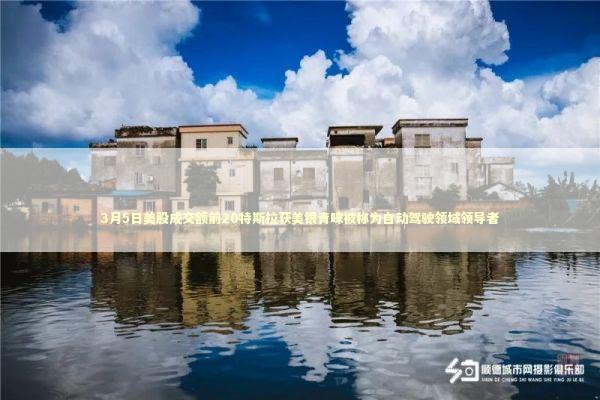 3月5日美股成交额前20特斯拉获美银青睐被称为自动驾驶领域领导者