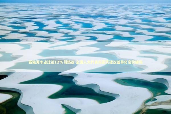 新能源车占比达12%引热议 全国人大代表周燕芳建议差异化定价破局 新能源车占比达12%引热议 全国人大代表周燕芳建议差异化定价破局 新闻