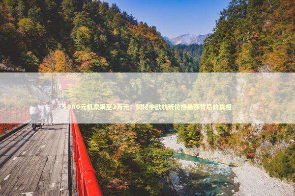 5000元机票飙至2万元：揭秘中欧航班价格暴涨背后的真相