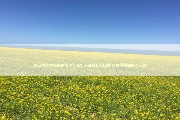 阿贝尔首封股东信写了什么？巴菲特60年超6万倍回报率能否延续 新闻