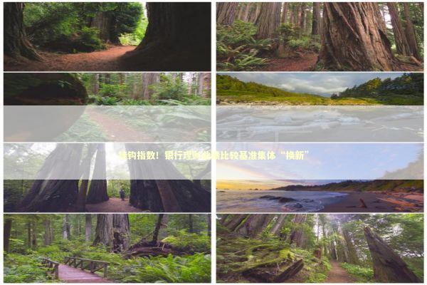 挂钩指数！银行理财业绩比较基准集体“换新”