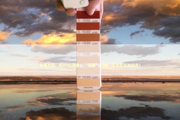 全线大涨！超80亿资金，“借基”扫货！这类投资如何选？ 新闻