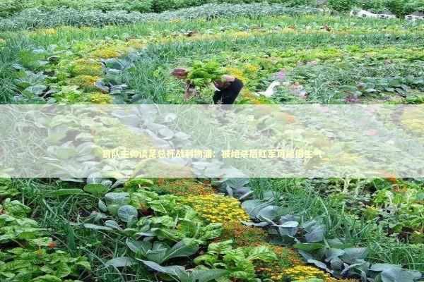 狼队主帅谈足总杯战利物浦：被绝杀后红军可能很生气 新闻