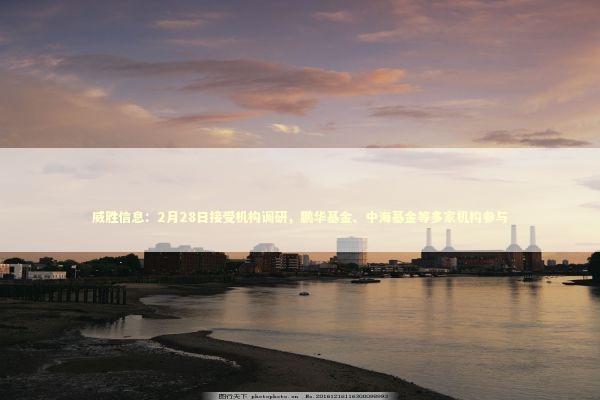 威胜信息：2月28日接受机构调研，鹏华基金、中海基金等多家机构参与 新闻