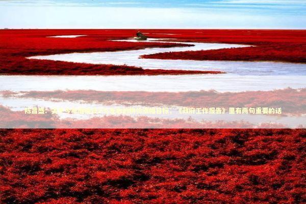 陈昌盛：关于今年继续设2%左右的物价涨幅目标，《政府工作报告》里有两句重要的话 新闻