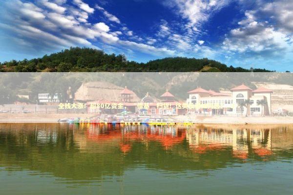 全线大涨！超80亿资金，“借基”扫货！这类投资如何选？_2 新闻