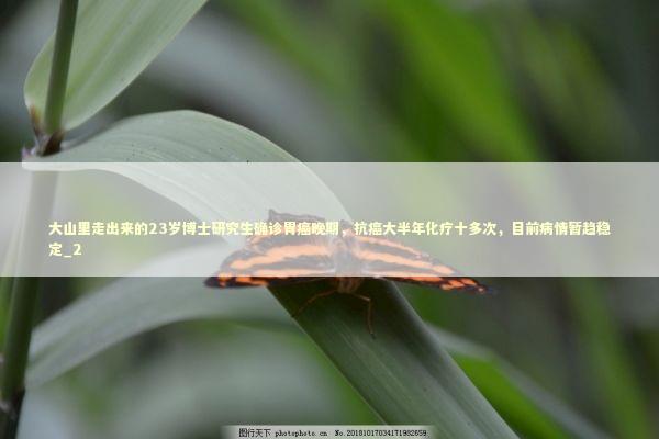 大山里走出来的23岁博士研究生确诊胃癌晚期,抗癌大半年化疗十多次,目前病情暂趋稳定_2 大山里走出来的23岁博士研究生确诊胃癌晚期,抗癌大半年化疗十多次,目前病情暂趋稳定_2 新闻