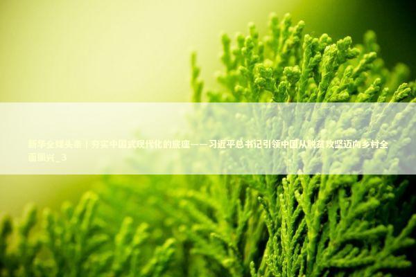 新华全媒头条｜夯实中国式现代化的底座——习近平总书记引领中国从脱贫攻坚迈向乡村全面振兴_3 新闻