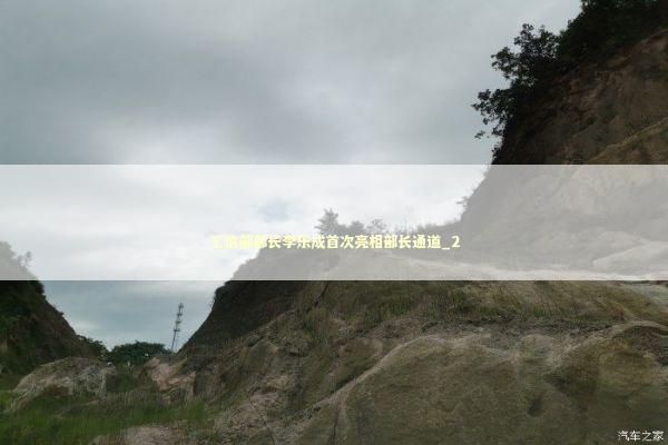 工信部部长李乐成首次亮相部长通道_2 新闻