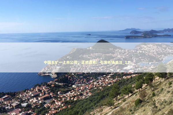 中国五矿一上市公司，正式退市！引发市场关注_13 新闻