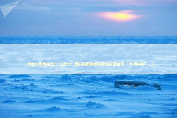 一季度净流出高达17亿美元！黑石集团旗舰私募信贷基金成“PE风向标”_3 新闻