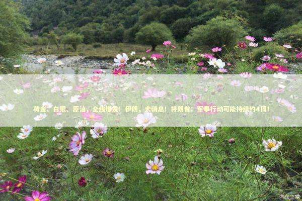 黄金、白银、原油，全线爆发！伊朗，大消息！特朗普：军事行动可能持续约4周！ 新闻