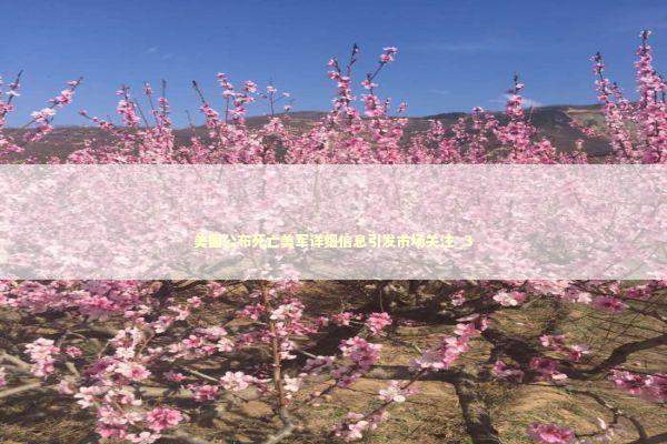 美国公布死亡美军详细信息引发市场关注_3 美国公布死亡美军详细信息引发市场关注_3 新闻